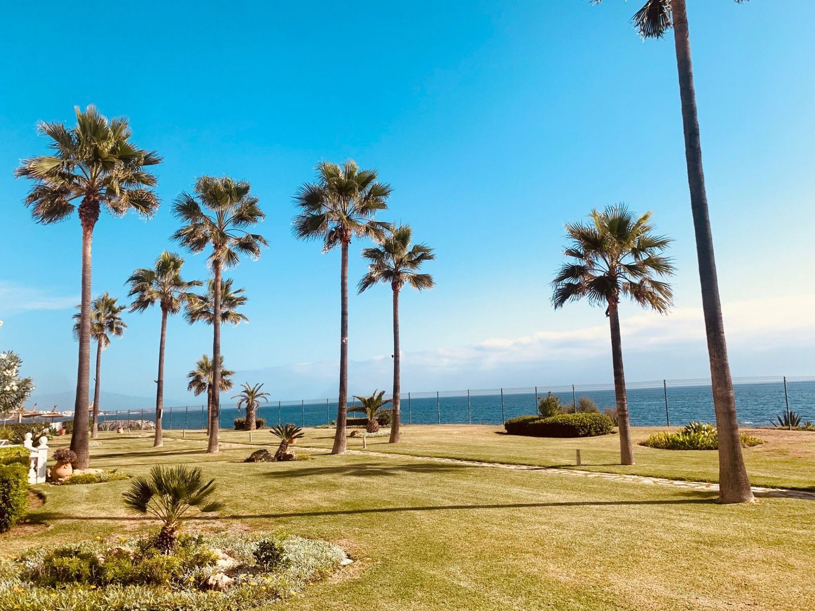 Tropischer Garten mit hohen Palmen und Blick aufs Meer